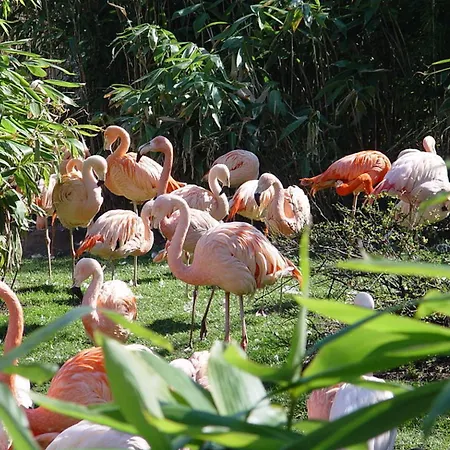 Lägenhet Hanomag Quartier Hannover